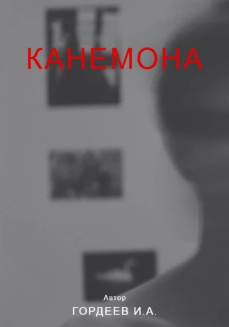 Обложка книги «Канемона»