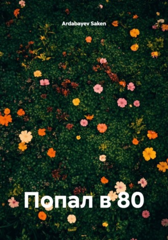 Обложка книги «Попал в 80»