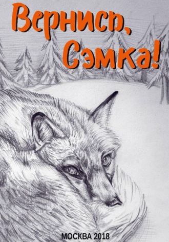 Обложка книги «Вернись, Сэмка!»