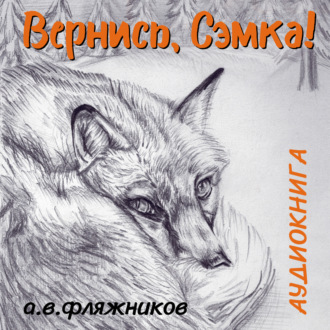 Обложка книги «Вернись, Сэмка!»