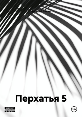Обложка книги «Перхатья 5»