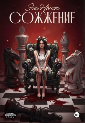 Обложка книги «Сожжение»