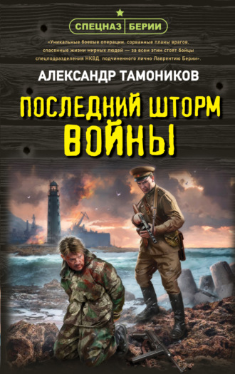 Обложка книги «Последний шторм войны»