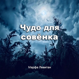 Обложка книги «Чудо для совёнка»