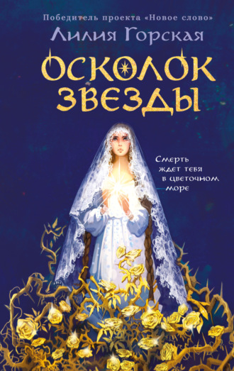 Обложка книги «Осколок звезды»