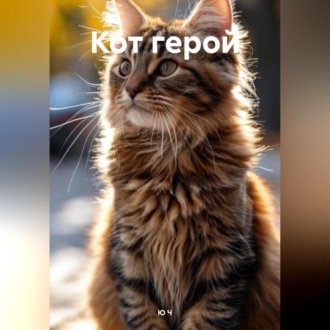 Обложка книги «Кот герой»