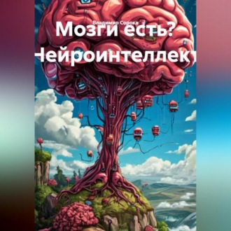 Обложка книги «Мозги есть? Нейроинтеллект.»