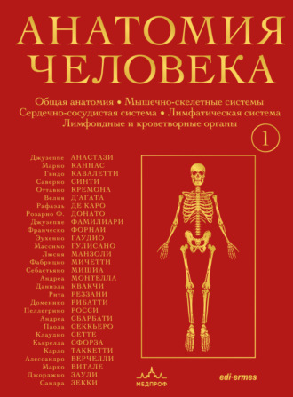 Обложка книги «Анатомия человека. Эксклюзивное издание с 50-летней историей. Том 1»
