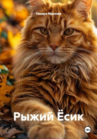 Обложка книги «Рыжий Ёсик»