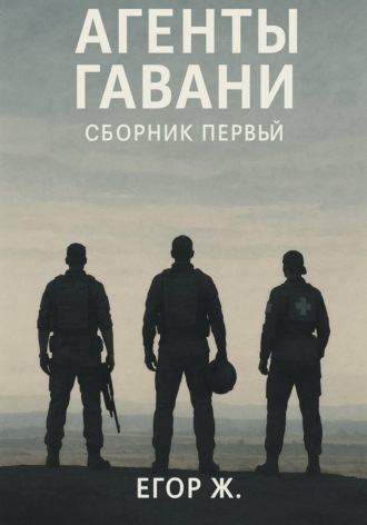 Обложка книги «Агенты гавани. До неба»