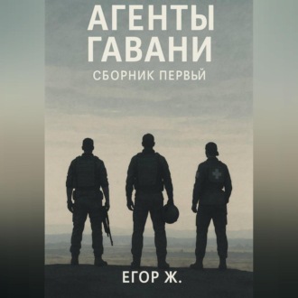 Обложка книги «Агенты гавани. До неба»