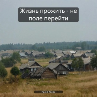 Обложка книги «Жизнь прожить – не поле перейти»