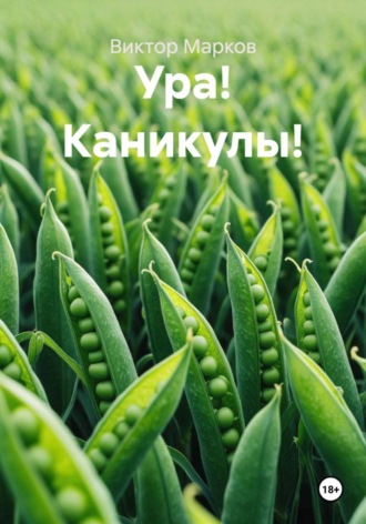 Обложка книги «Ура! Каникулы!»