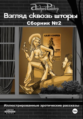 Обложка книги «Взгляд сквозь шторы. Сборник рассказов № 2»