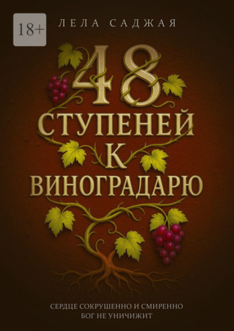 Обложка книги «48 ступеней к Виноградарю»