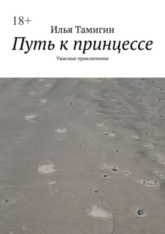 Обложка книги «Путь к принцессе. Ужасные приключения»
