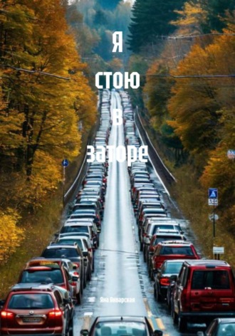 Обложка книги «Я стою в заторе»