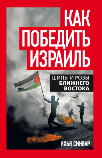 Обложка книги «Как победить Израиль. Шипы и розы Ближнего Востока»