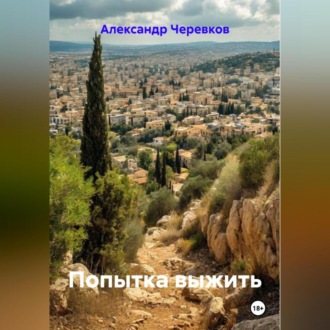 Обложка книги «Попытка выжить»