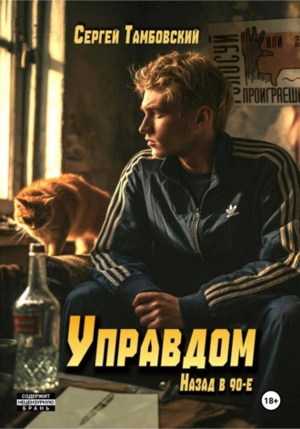 Обложка книги «Управдом: назад в девяностые»