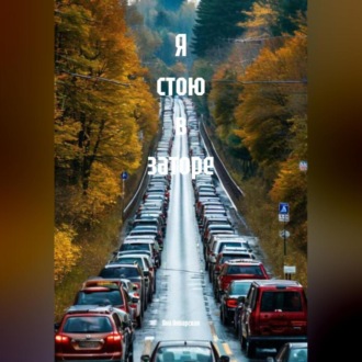 Обложка книги «Я стою в заторе»