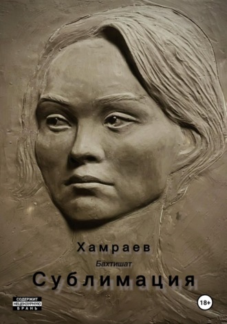 Обложка книги «Сублимация»