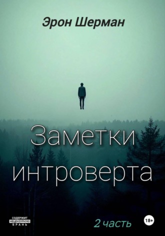 Обложка книги «Заметки интроверта. 2часть»