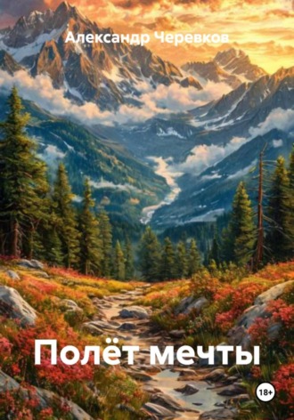 Обложка книги «Полёт мечты»