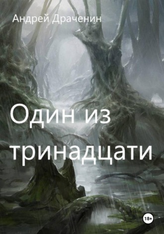 Обложка книги «Один из тринадцати»