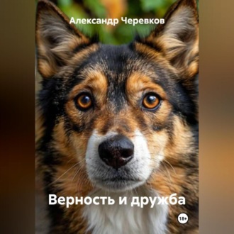 Обложка книги «Верность и дружба»