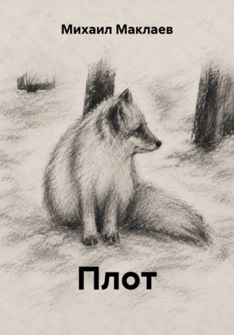 Обложка книги «Плот»