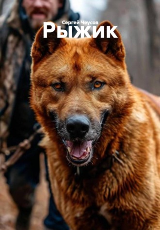 Рыжик. 