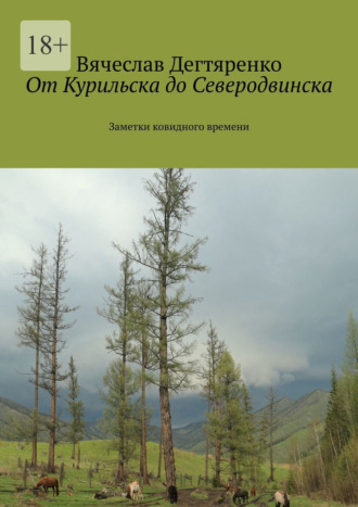 Обложка книги «От Курильска до Северодвинска. Заметки ковидного времени»