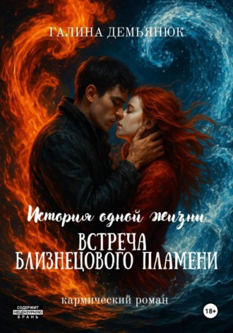 Обложка книги «История одной жизни: встреча близнецового пламени»
