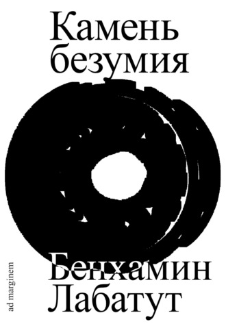 Обложка книги «Камень безумия»