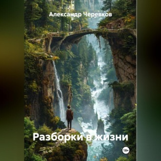 Обложка книги «Разборки в жизни»