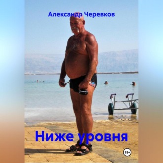 Обложка книги «Ниже уровня»