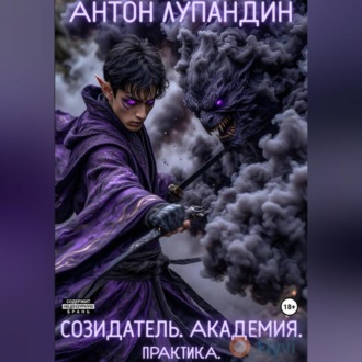 Обложка книги «Созидатель. Академия. Практика»