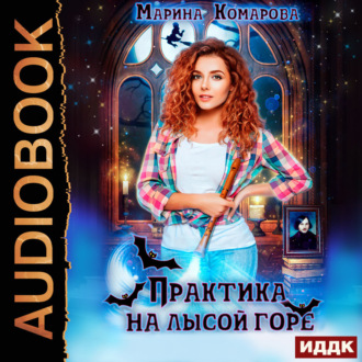 Обложка книги «Практика на Лысой горе»