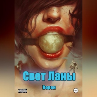 Обложка книги «Свет Ланы»