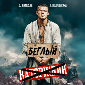 Обложка книги «Беглый»