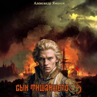 Обложка книги «Сын Тишайшего 5»