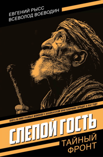 Обложка книги «Слепой гость»