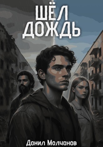Обложка книги «Шел дождь»