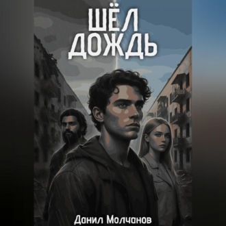 Обложка книги «Шел дождь»