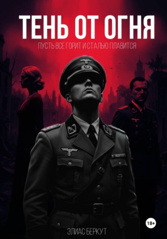 Обложка книги «ТЕНЬ ОТ ОГНЯ»
