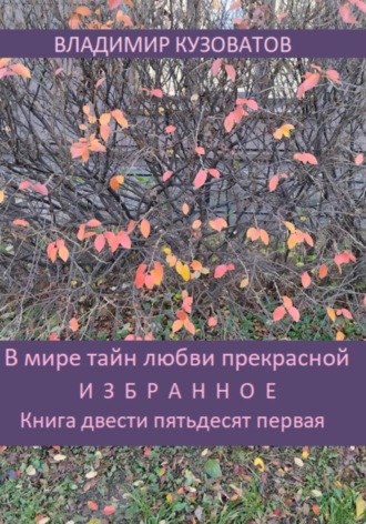 Обложка книги «В мире тайн любви прекрасной. Избранное. Книга двести пятьдесят первая»