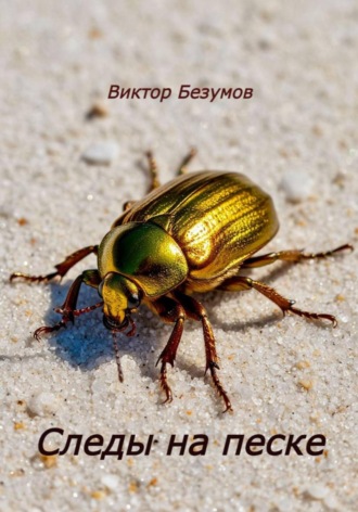 Обложка книги «Следы на песке»