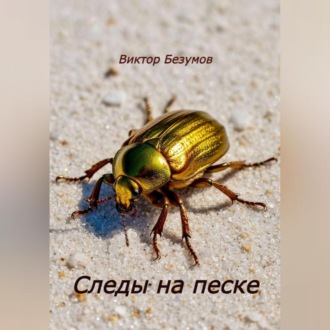 Обложка книги «Следы на песке»