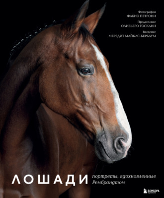 Обложка книги «Лошади. Портреты, вдохновленные Рембрандтом»